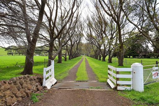 Farm For Sale - VIC - Bookaar - 3260 - A historic and versatile Camperdown district property 