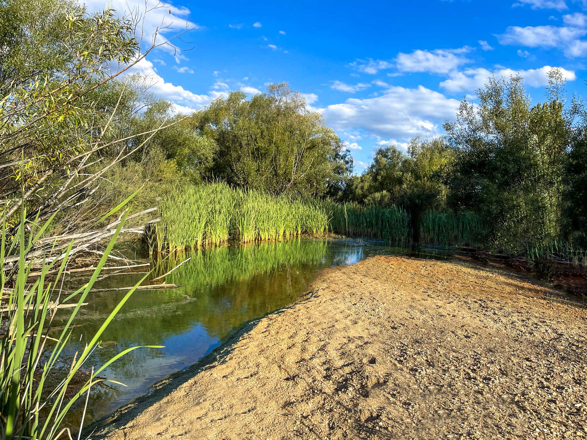 94 Balmain View, Larbert For Sale by Farmbuy.com - image 35