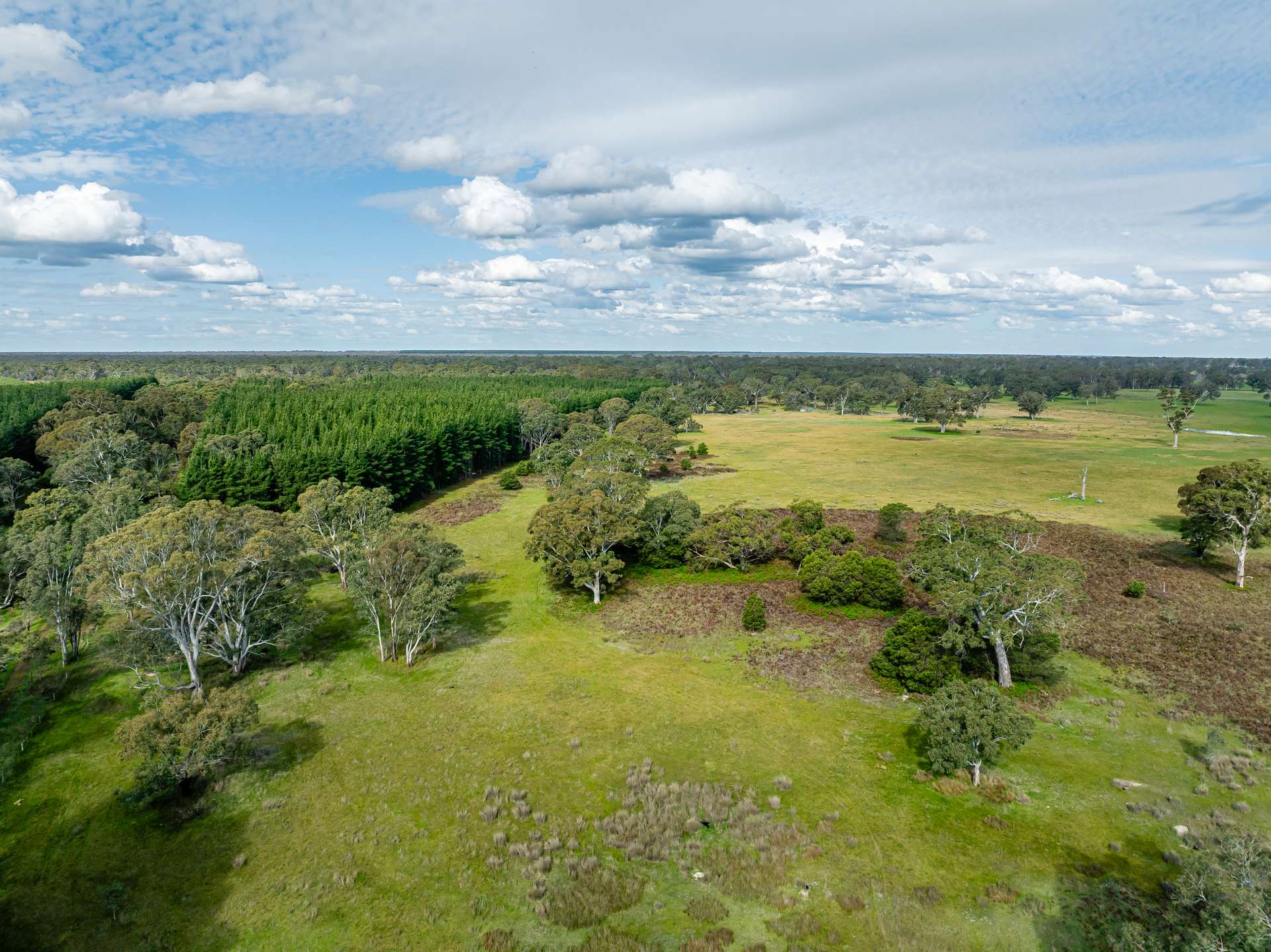 219 Ockley Rd, Comaum For Sale by Farmbuy.com - image 28