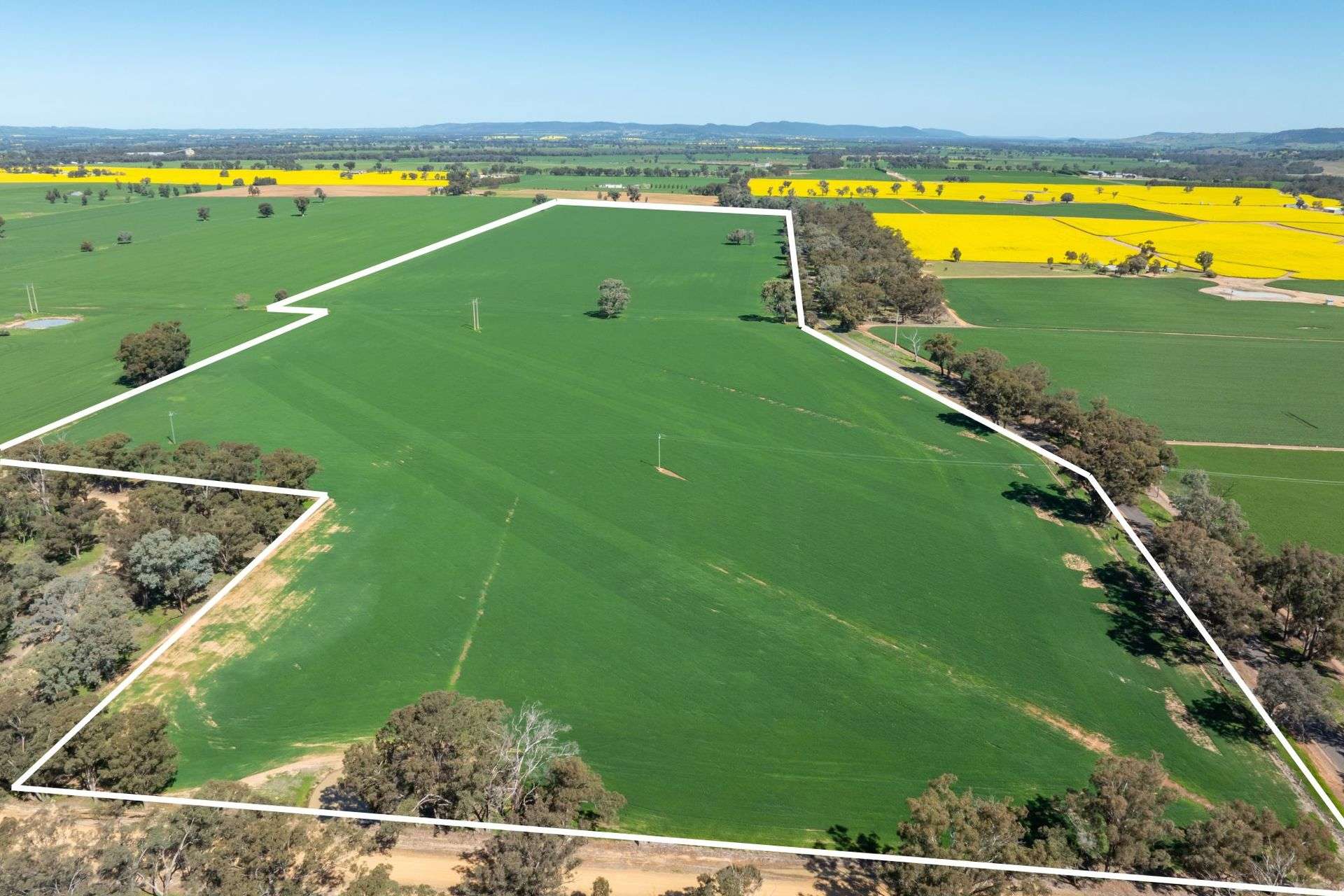 381 Chiverton Road, Cowra Sold by Farmbuy.com - image 1
