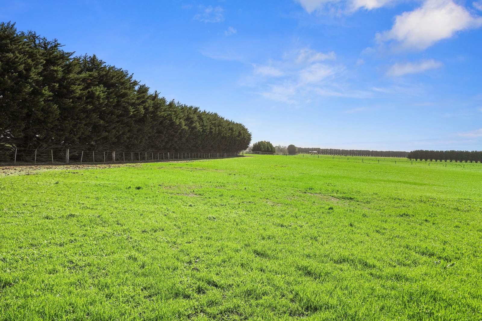 4251 Hamilton Highway, Mortlake Sold by Farmbuy.com - image 2