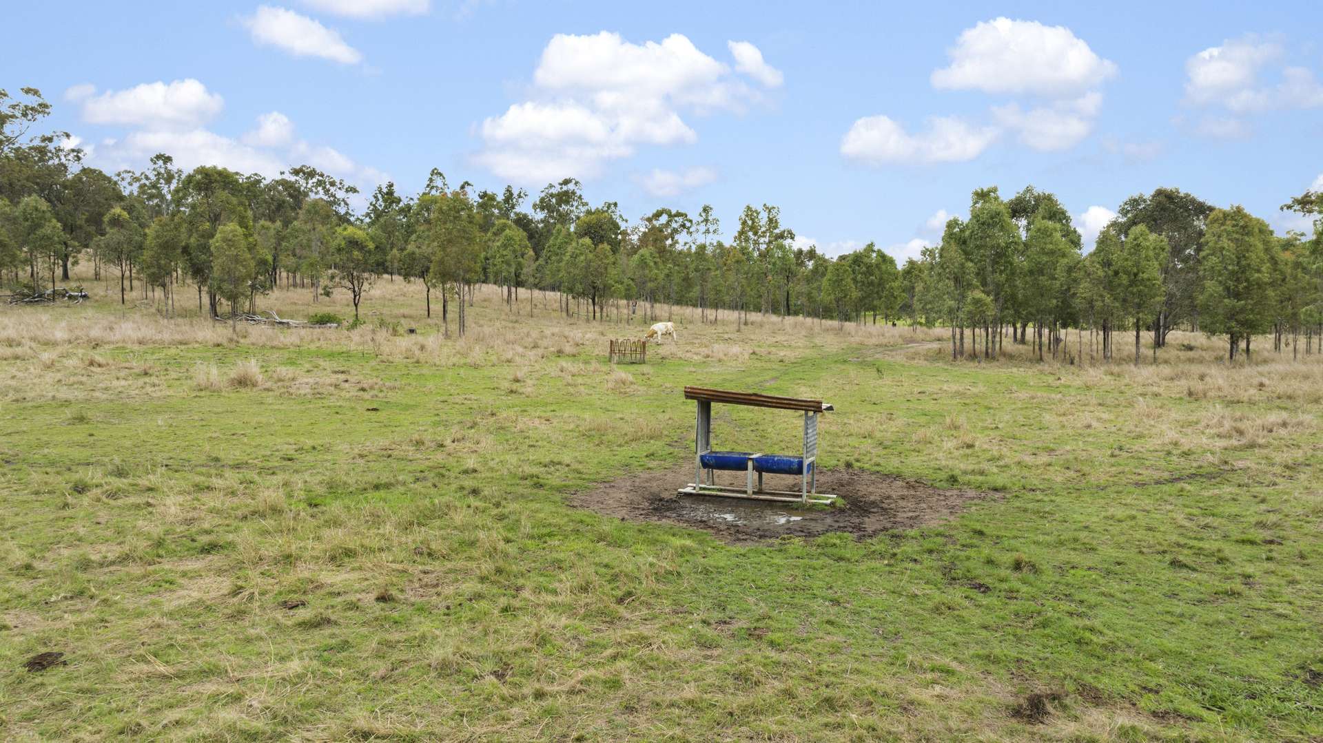 856 Esk Crows Nest Road, Biarra For Sale by Farmbuy.com - image 29