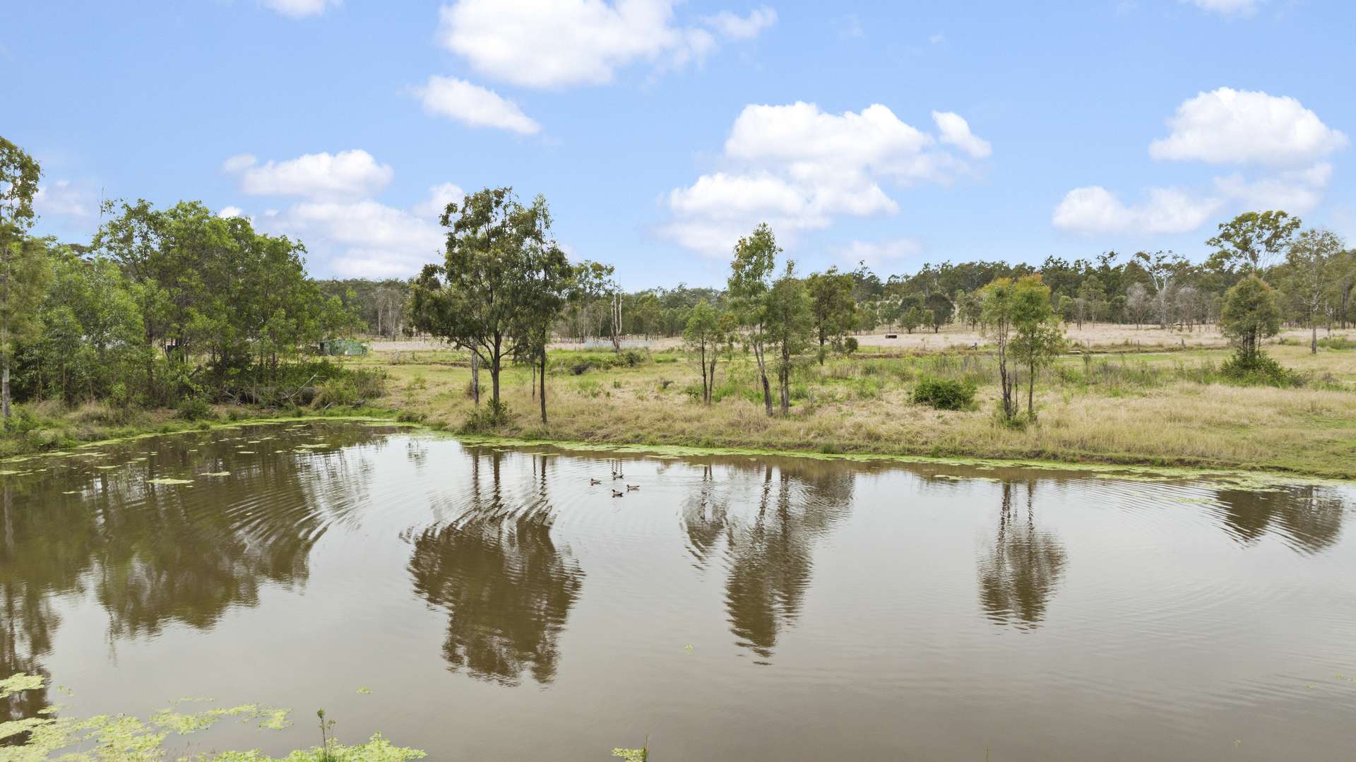 856 Esk Crows Nest Road, Biarra For Sale by Farmbuy.com - image 33