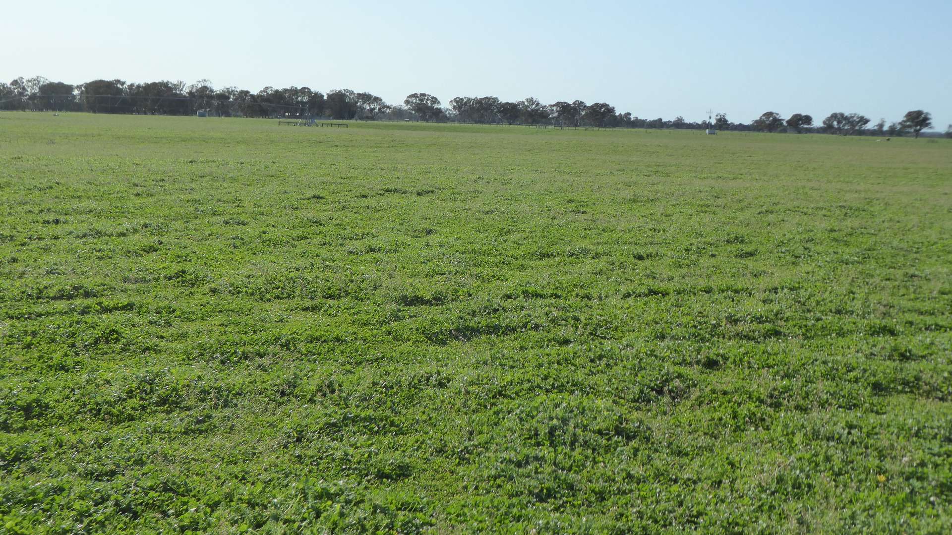 "Gum Park" 500 Rochow Wrays Road, Hynam Sold by Farmbuy.com - image 14