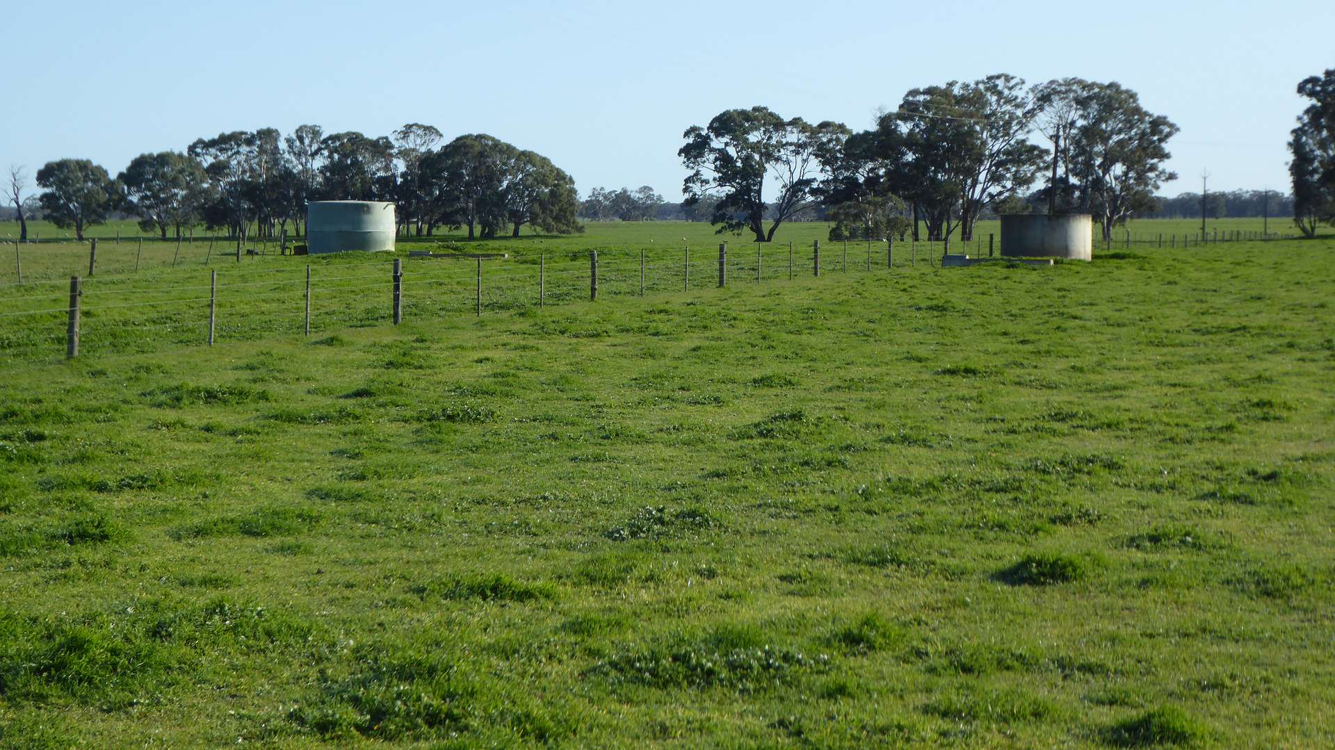 "Gum Park" 500 Rochow Wrays Road, Hynam Sold by Farmbuy.com - image 19