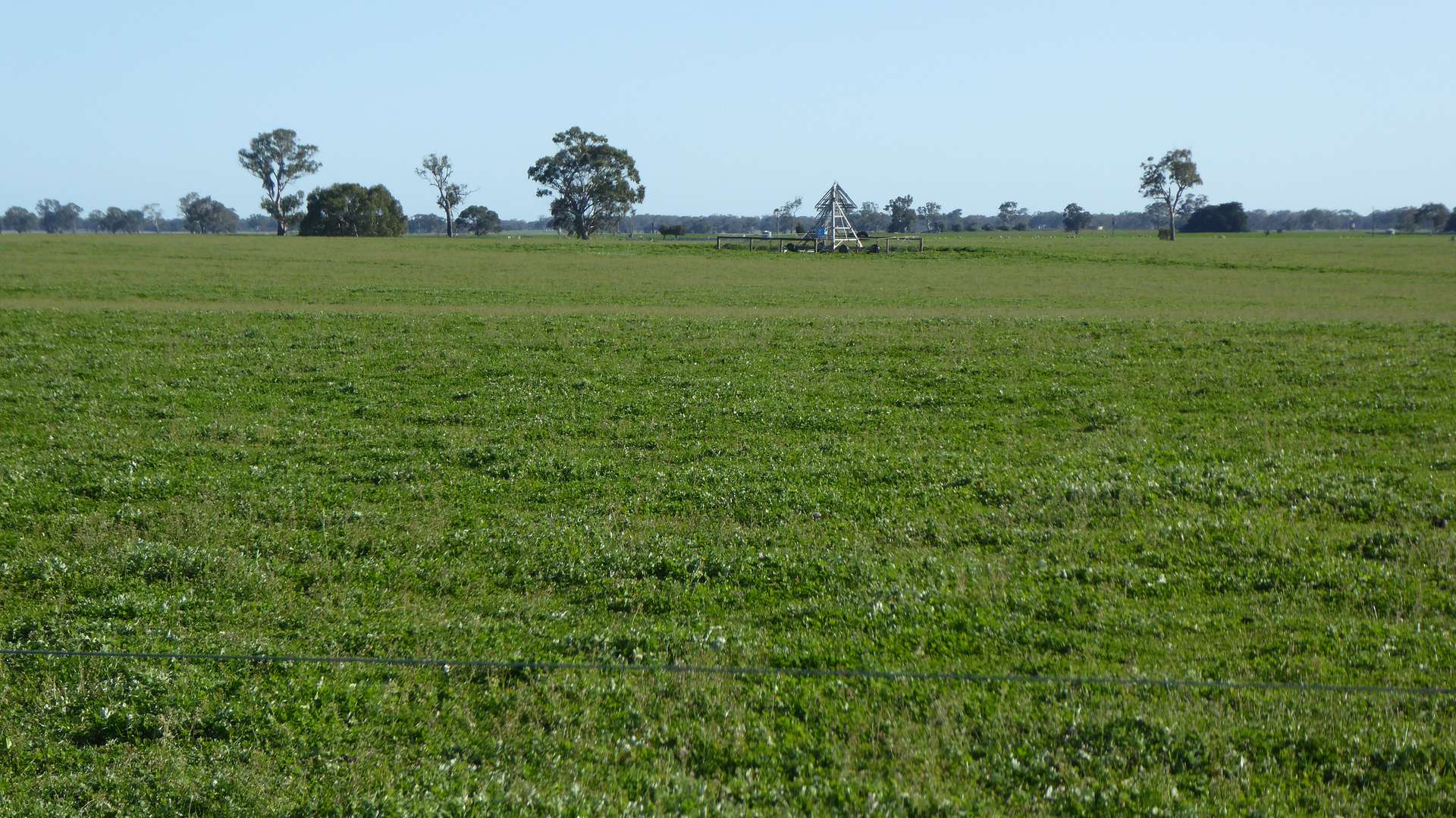 "Gum Park" 500 Rochow Wrays Road, Hynam Sold by Farmbuy.com - image 16
