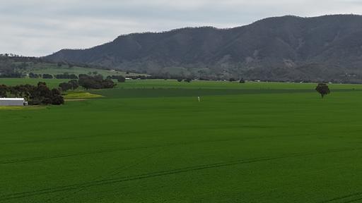 Farm Sold - SA - Melrose - 5483 - Prime Cropping Opportunity - Just Minutes from Melrose 