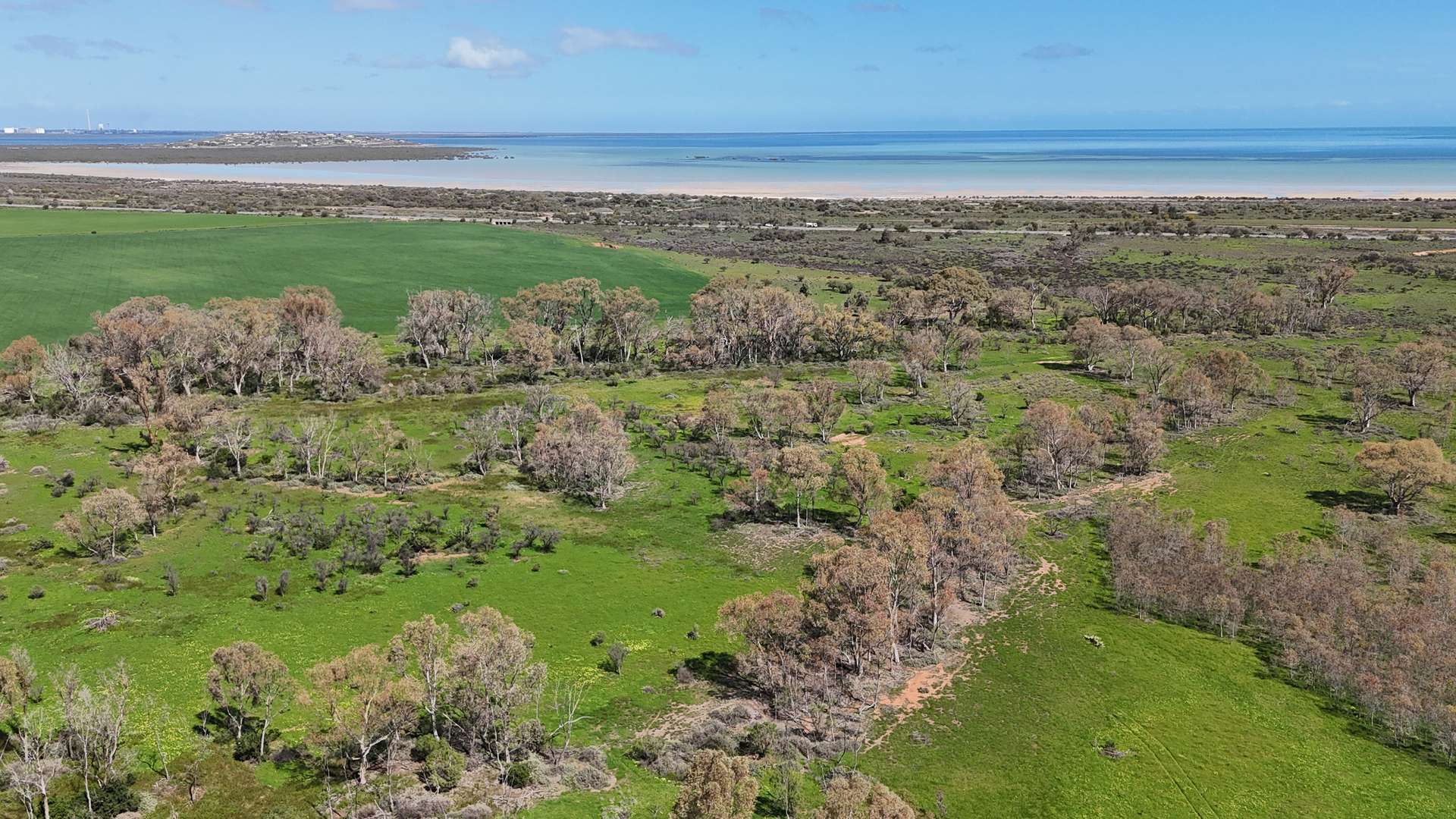 11N & 11S Noel Smith Road, Telowie Sold by Farmbuy.com - image 8