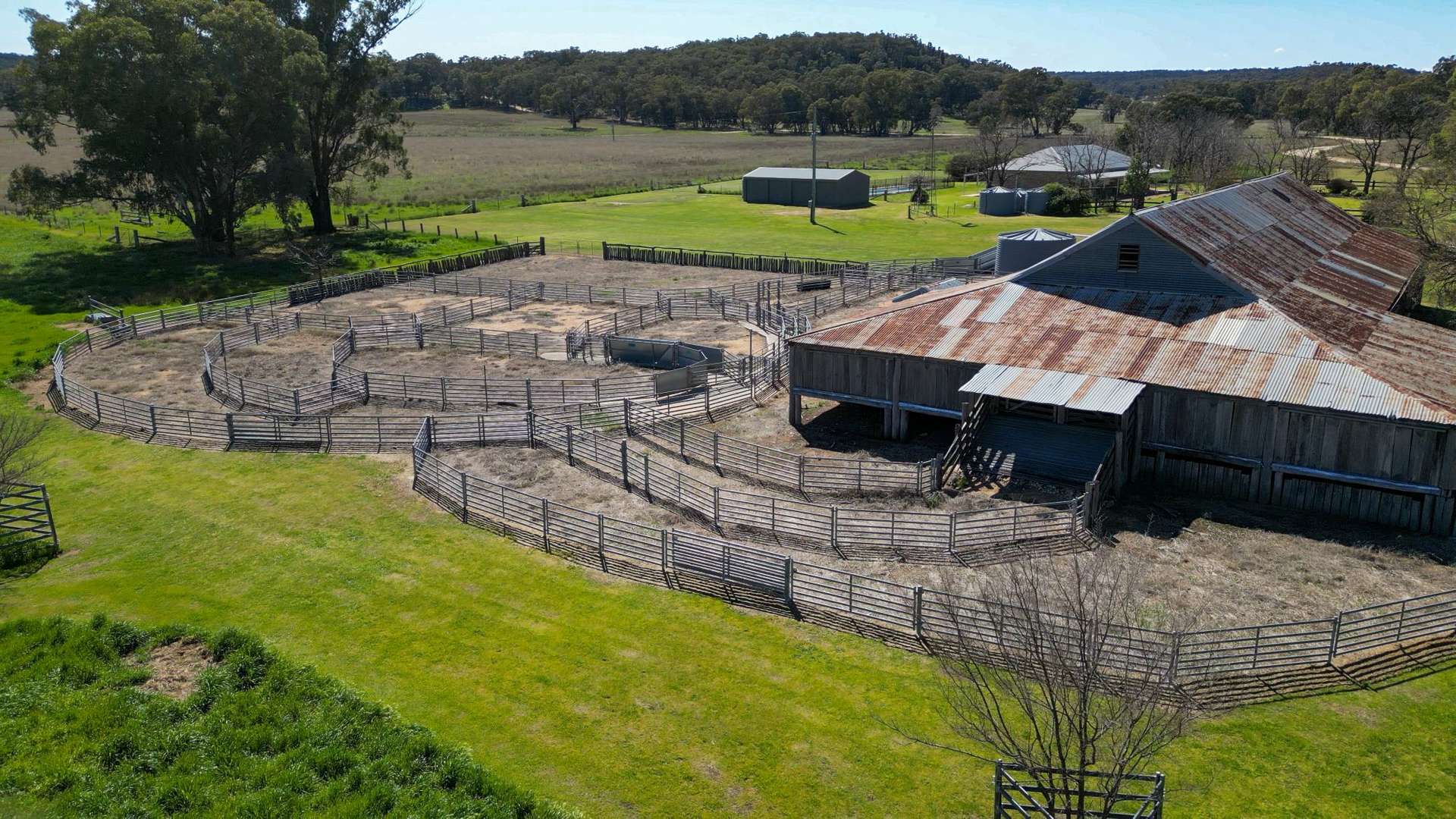 1799 Digilah Road, Dunedoo Sold by Farmbuy.com - image 8