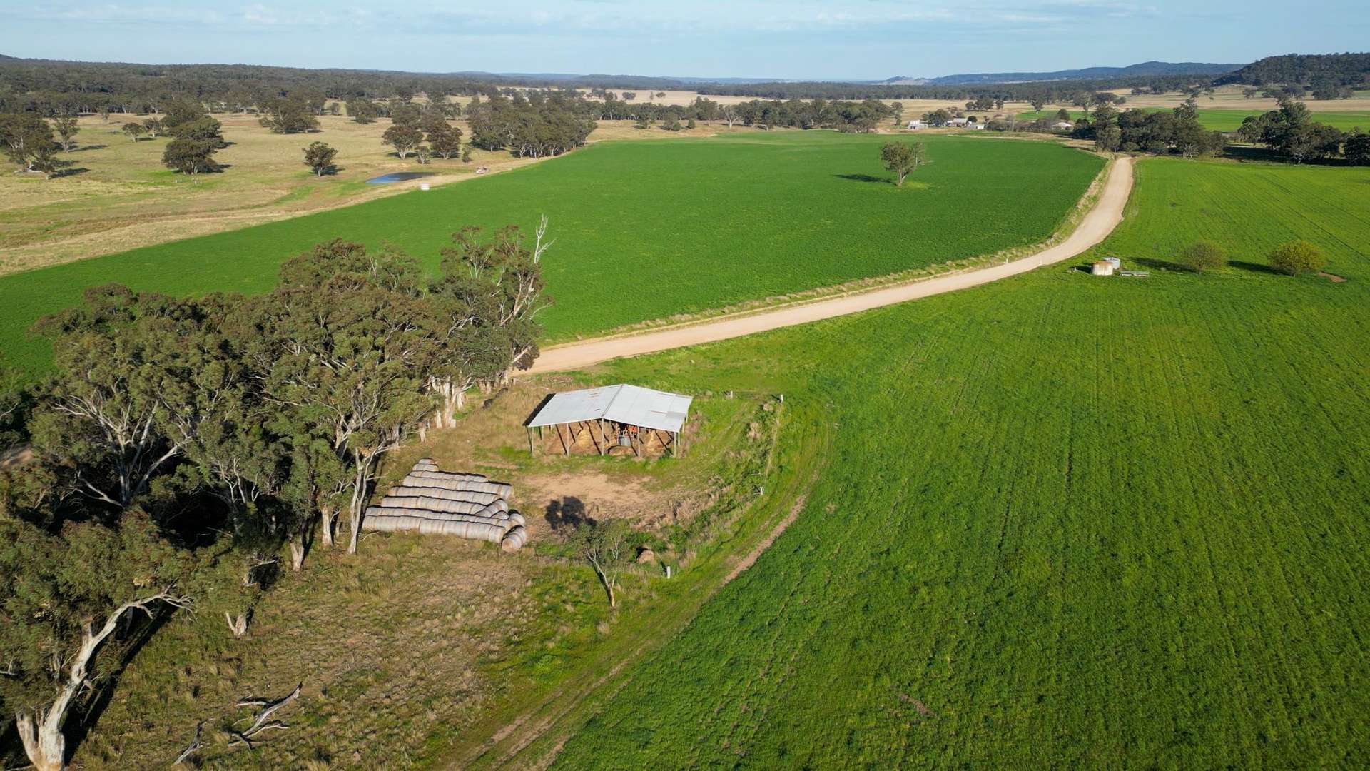 1799 Digilah Road, Dunedoo Sold by Farmbuy.com - image 3