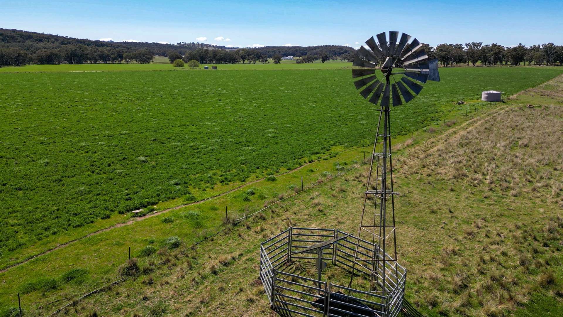 1799 Digilah Road, Dunedoo Sold by Farmbuy.com - image 6
