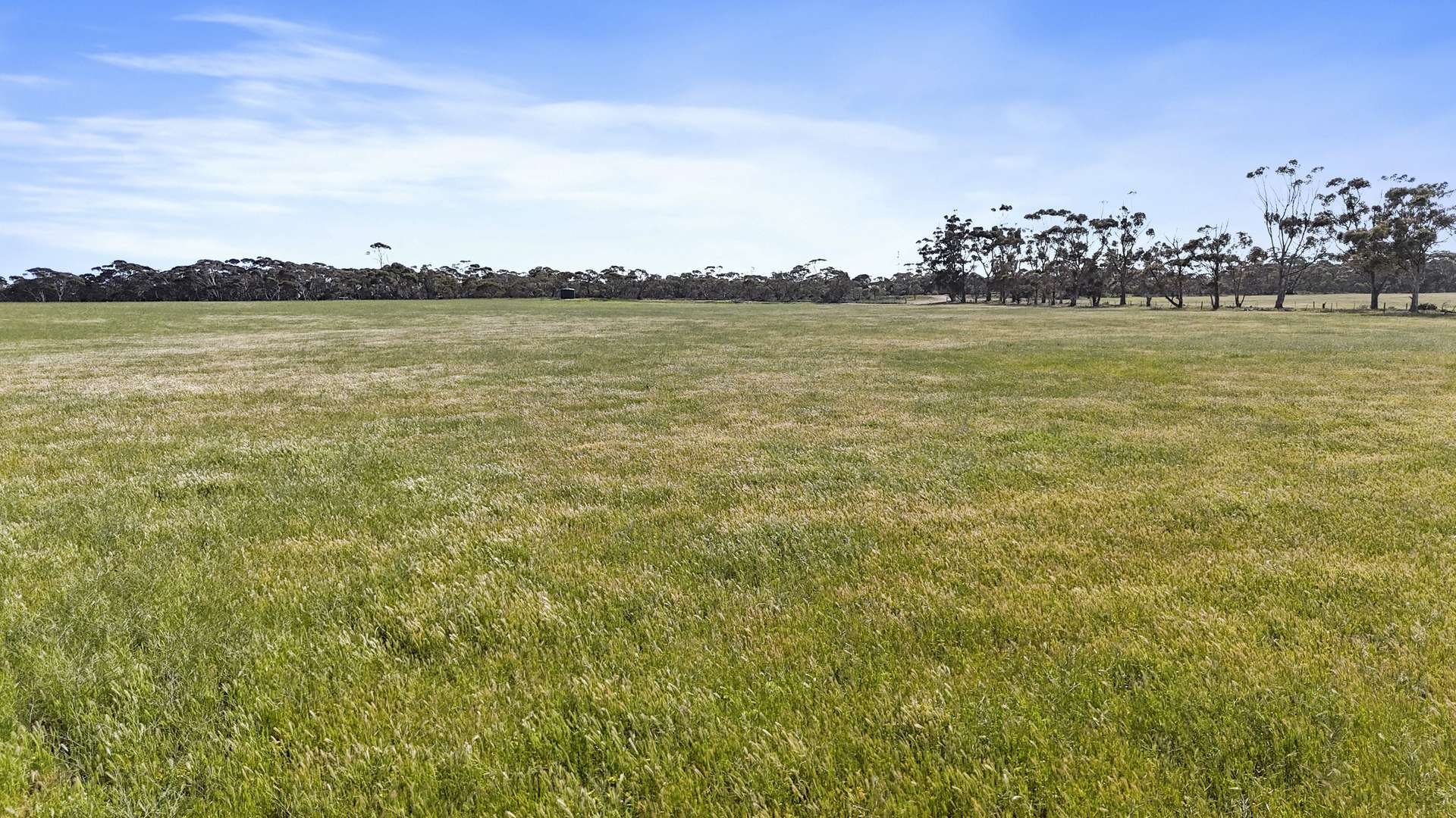 4910 Mallee Highway, Peake For Sale by Farmbuy.com - image 18