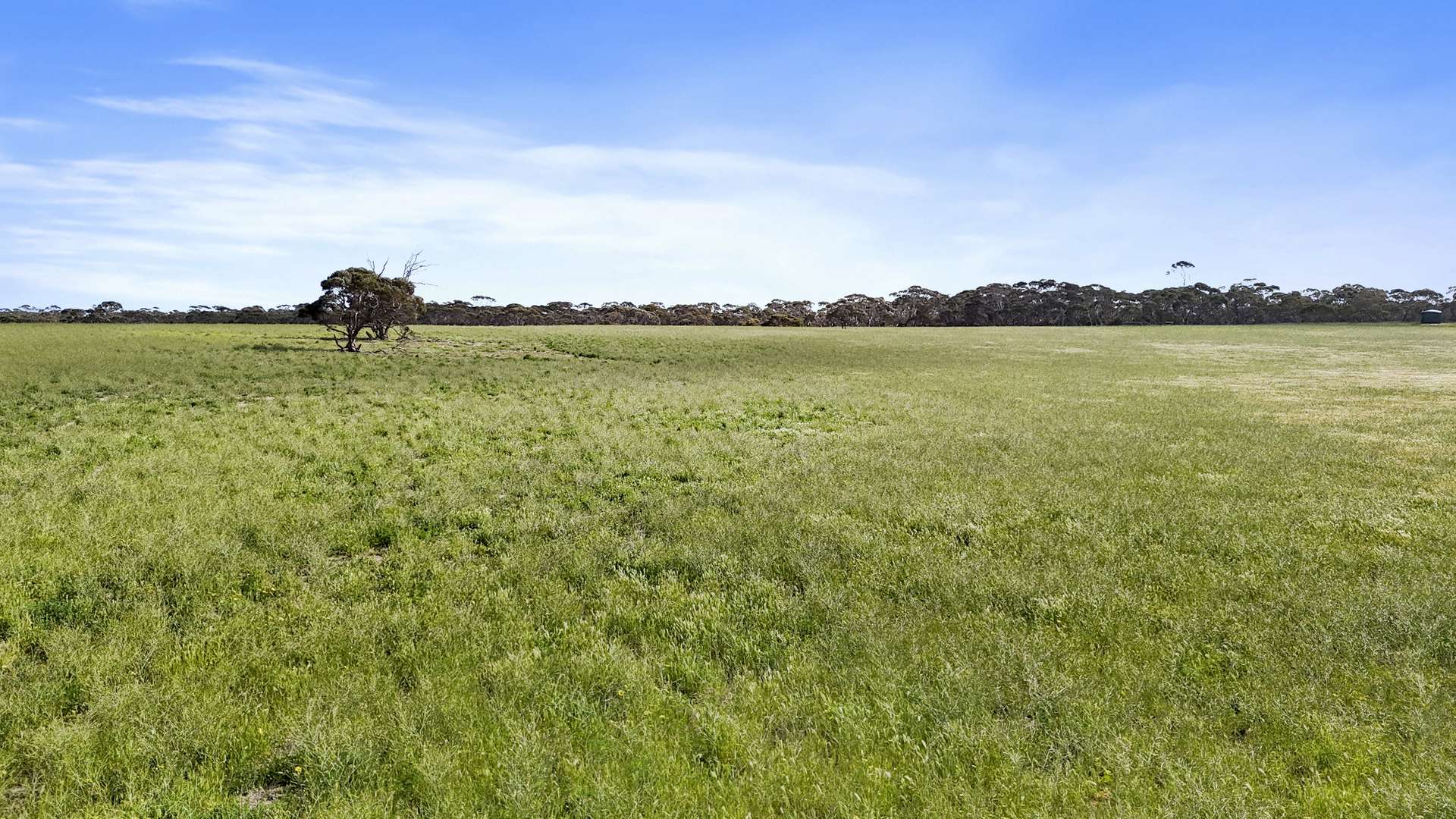 4910 Mallee Highway, Peake For Sale by Farmbuy.com - image 10