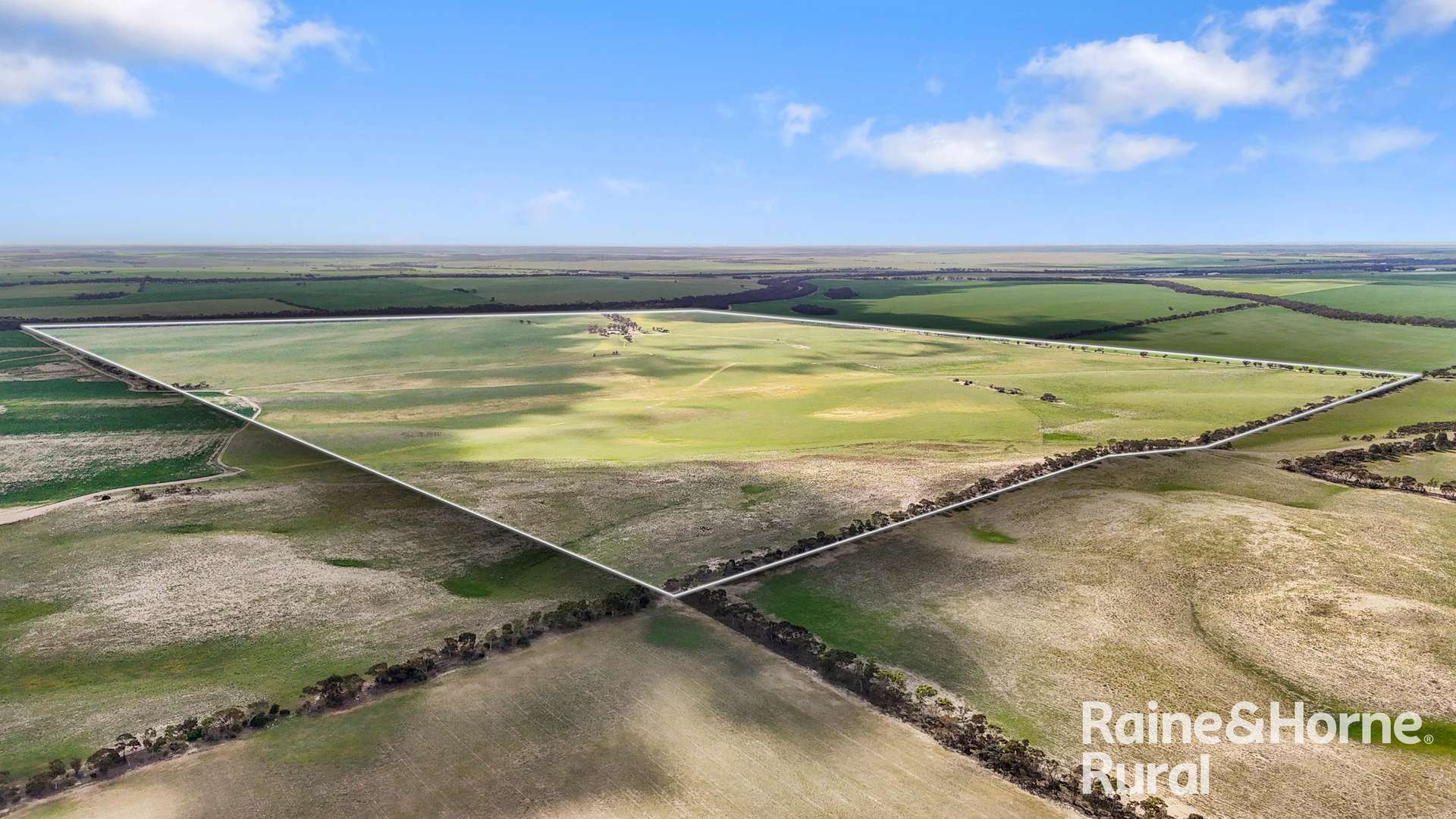 4910 Mallee Highway, Peake For Sale by Farmbuy.com - image 35