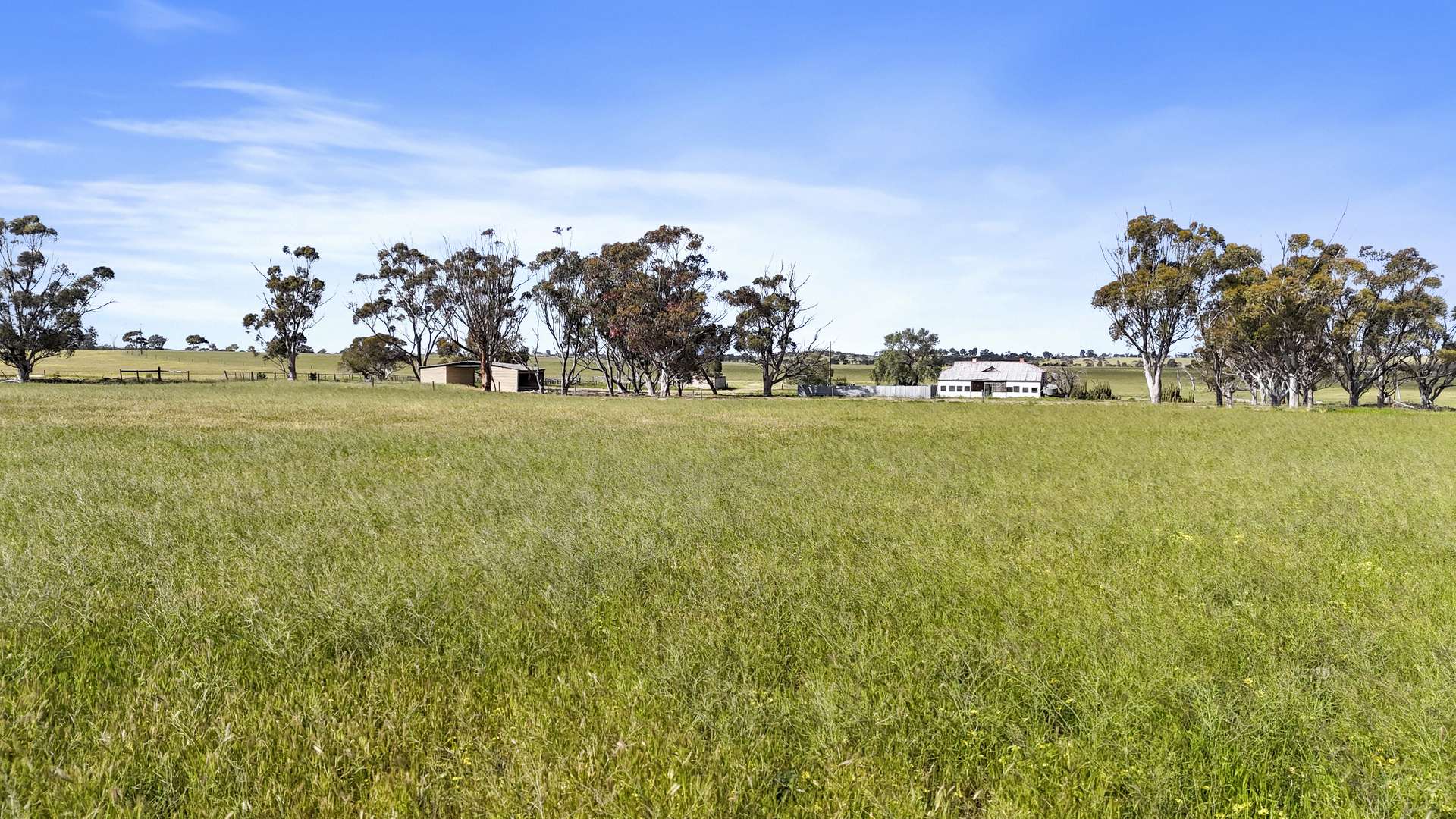4910 Mallee Highway, Peake For Sale by Farmbuy.com - image 28