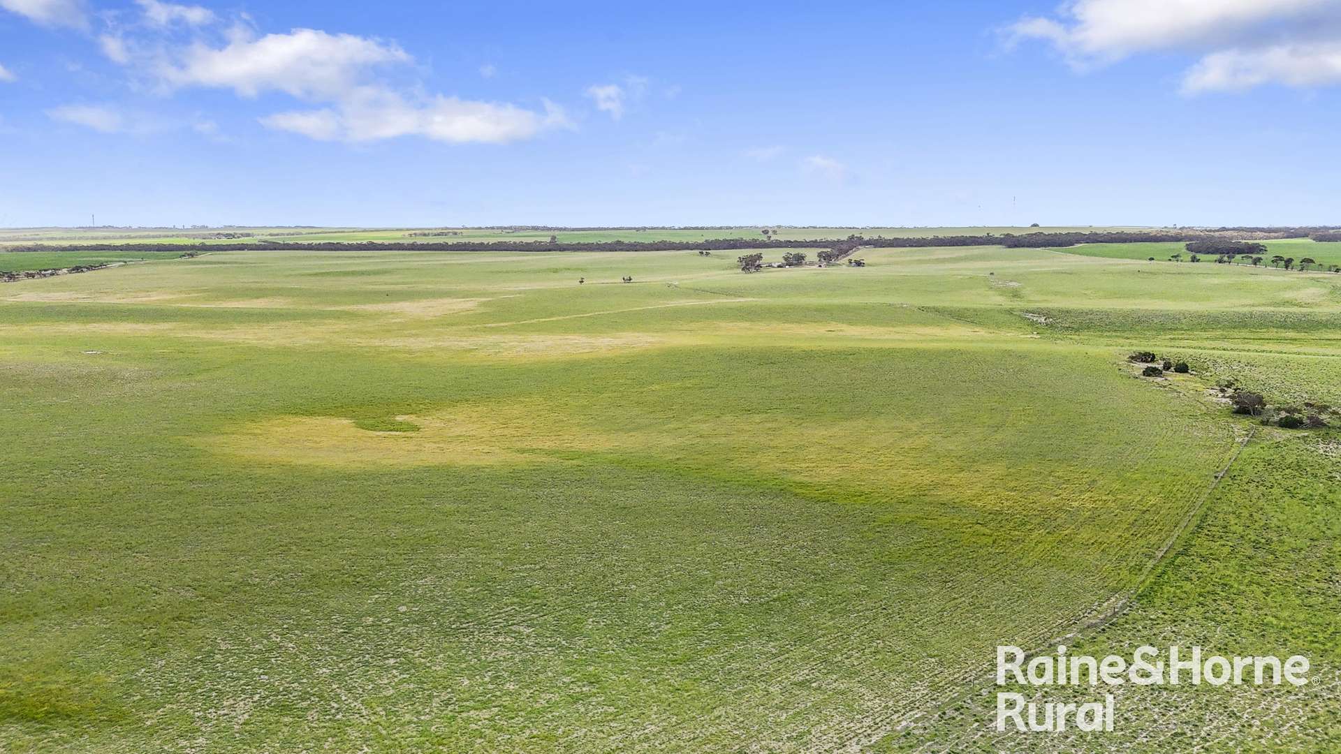 4910 Mallee Highway, Peake For Sale by Farmbuy.com - image 27