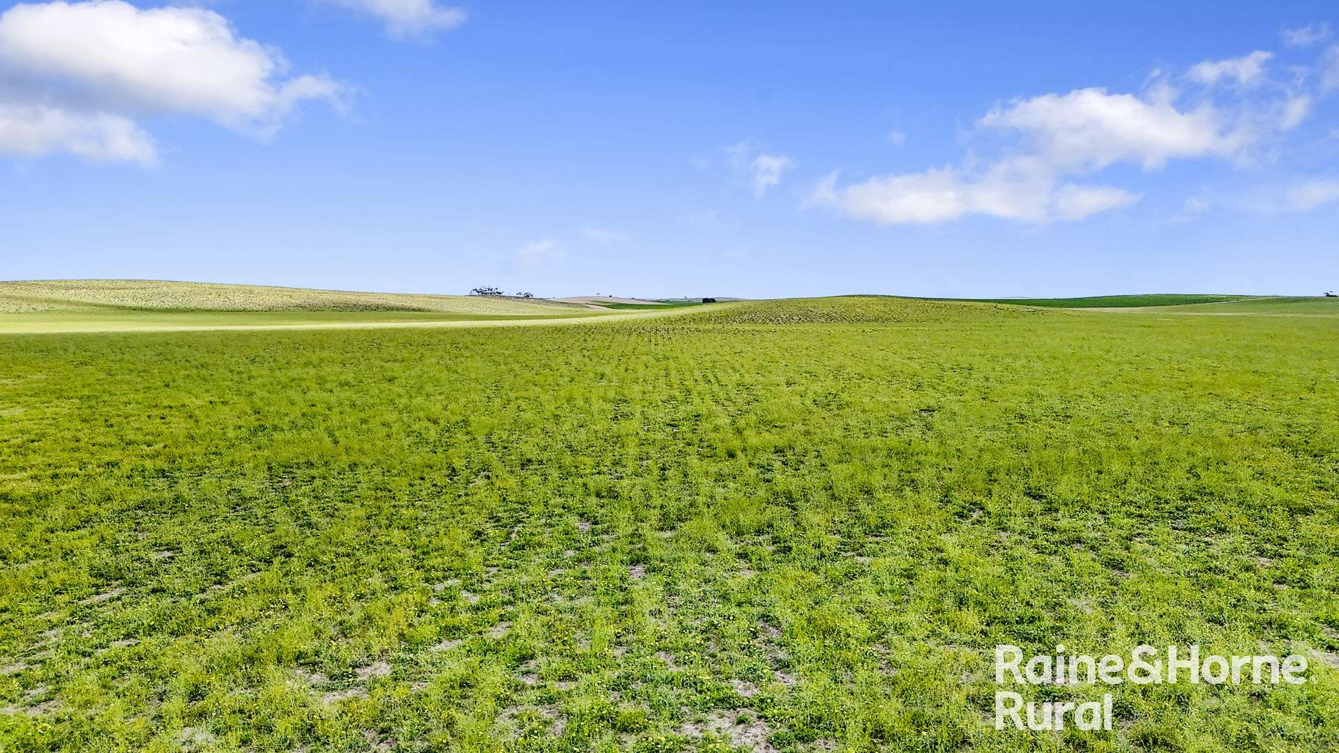 4910 Mallee Highway, Peake For Sale by Farmbuy.com - image 12