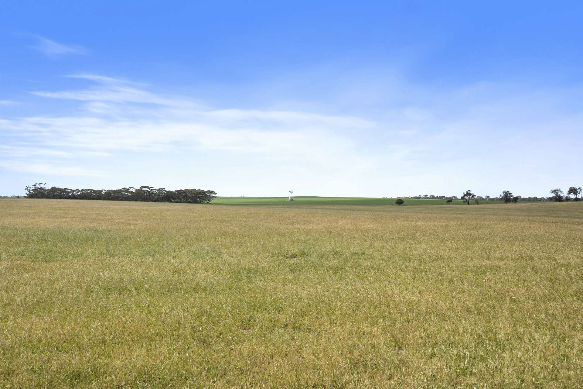 4910 Mallee Highway, Peake For Sale by Farmbuy.com - image 24