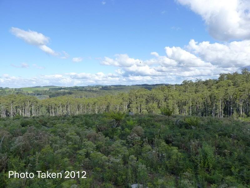 PID 6191426 South Riana Road, Upper Natone Sold by Farmbuy.com - image 27