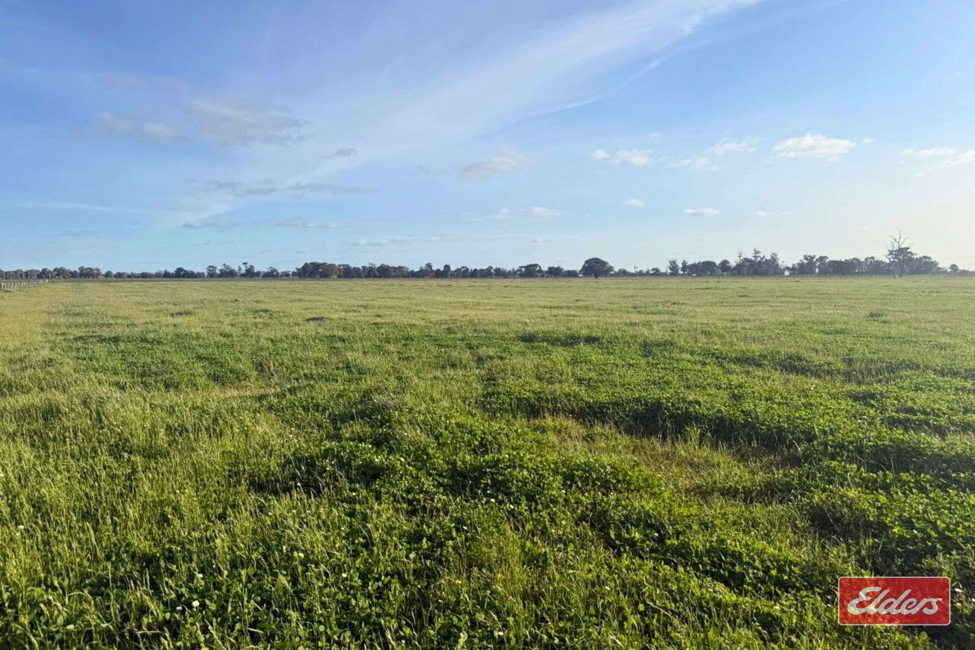 821 Echuca West School Road, Echuca For Sale by Farmbuy.com - image 12