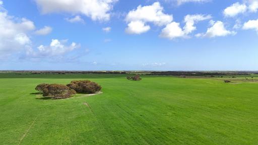 Farm Sold - SA - White Hut - 5575 - 'Shamloes' 