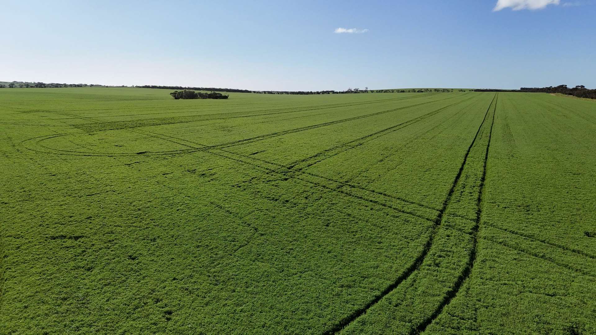 'Masons' Section 361 Willing Road, Arthurton Sold by Farmbuy.com - image 9