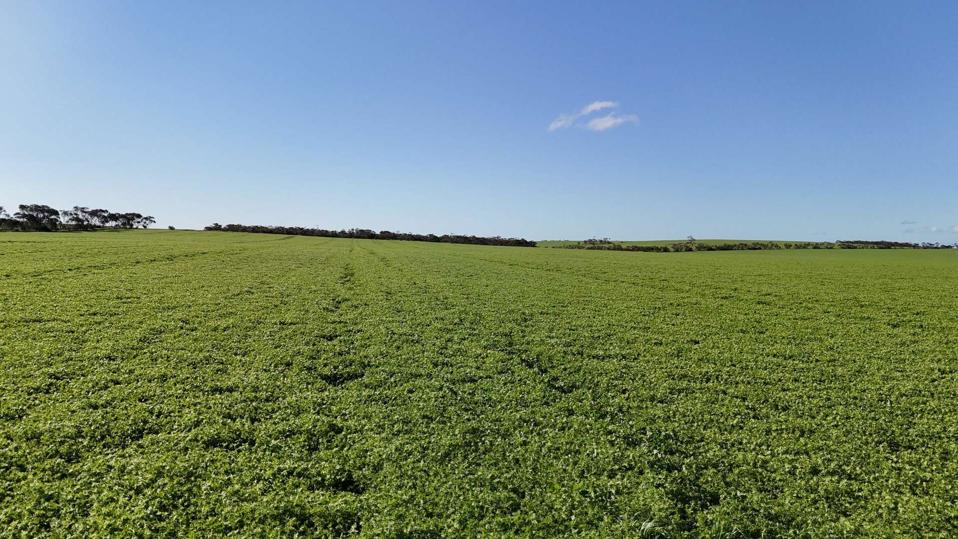 'Masons' Section 361 Willing Road, Arthurton Sold by Farmbuy.com - image 3