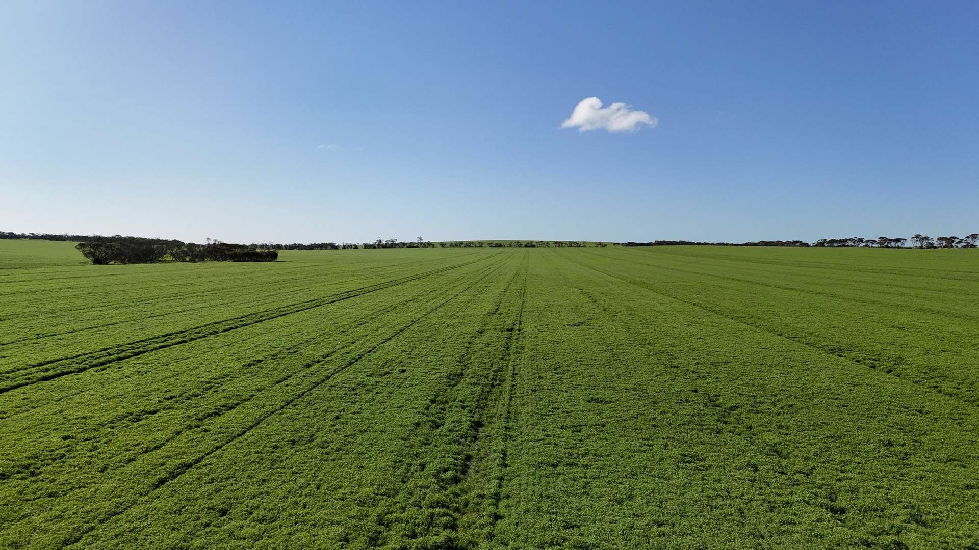 'Masons' Section 361 Willing Road, Arthurton Sold by Farmbuy.com - image 11