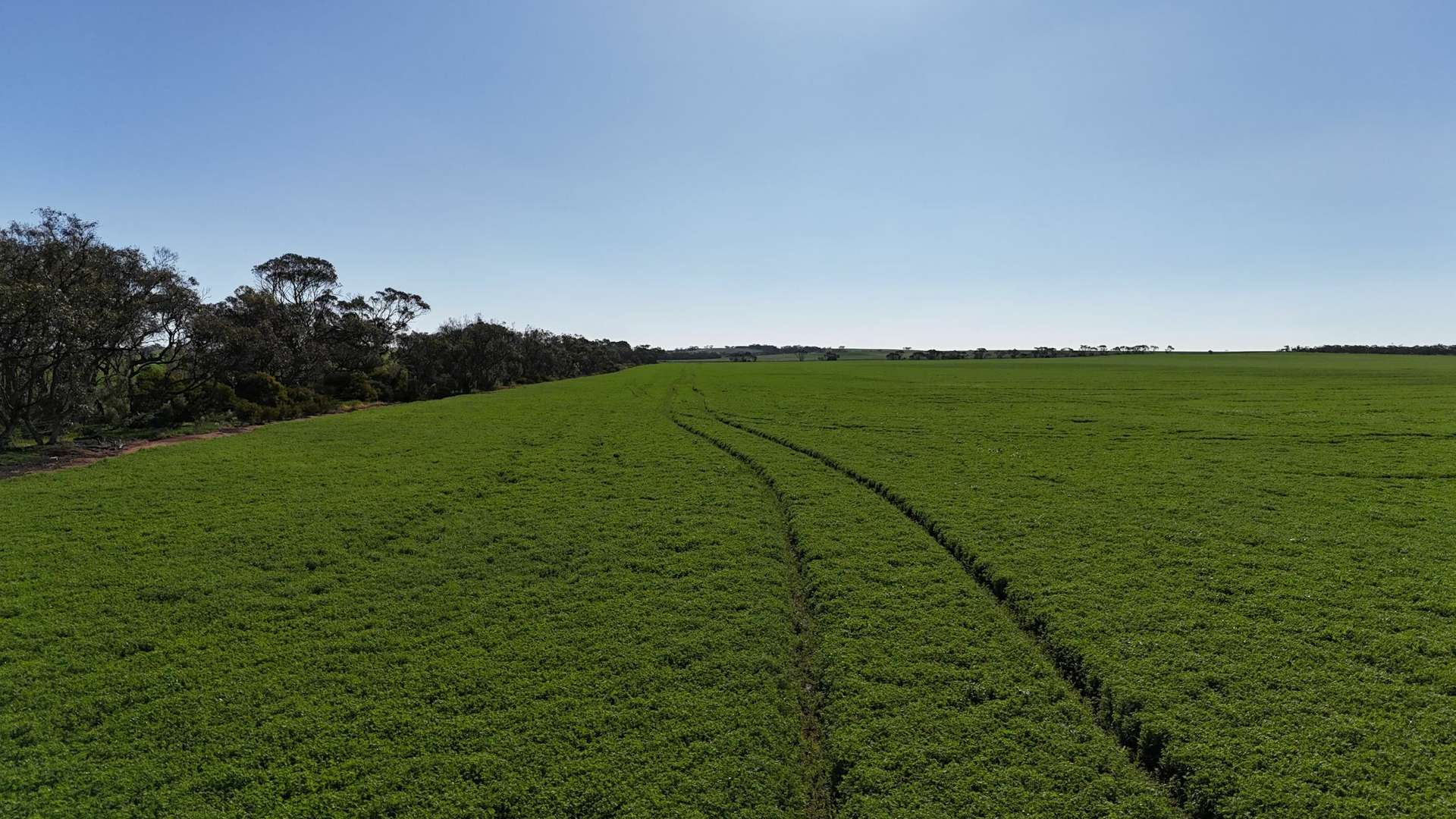 'Masons' Section 361 Willing Road, Arthurton Sold by Farmbuy.com - image 10
