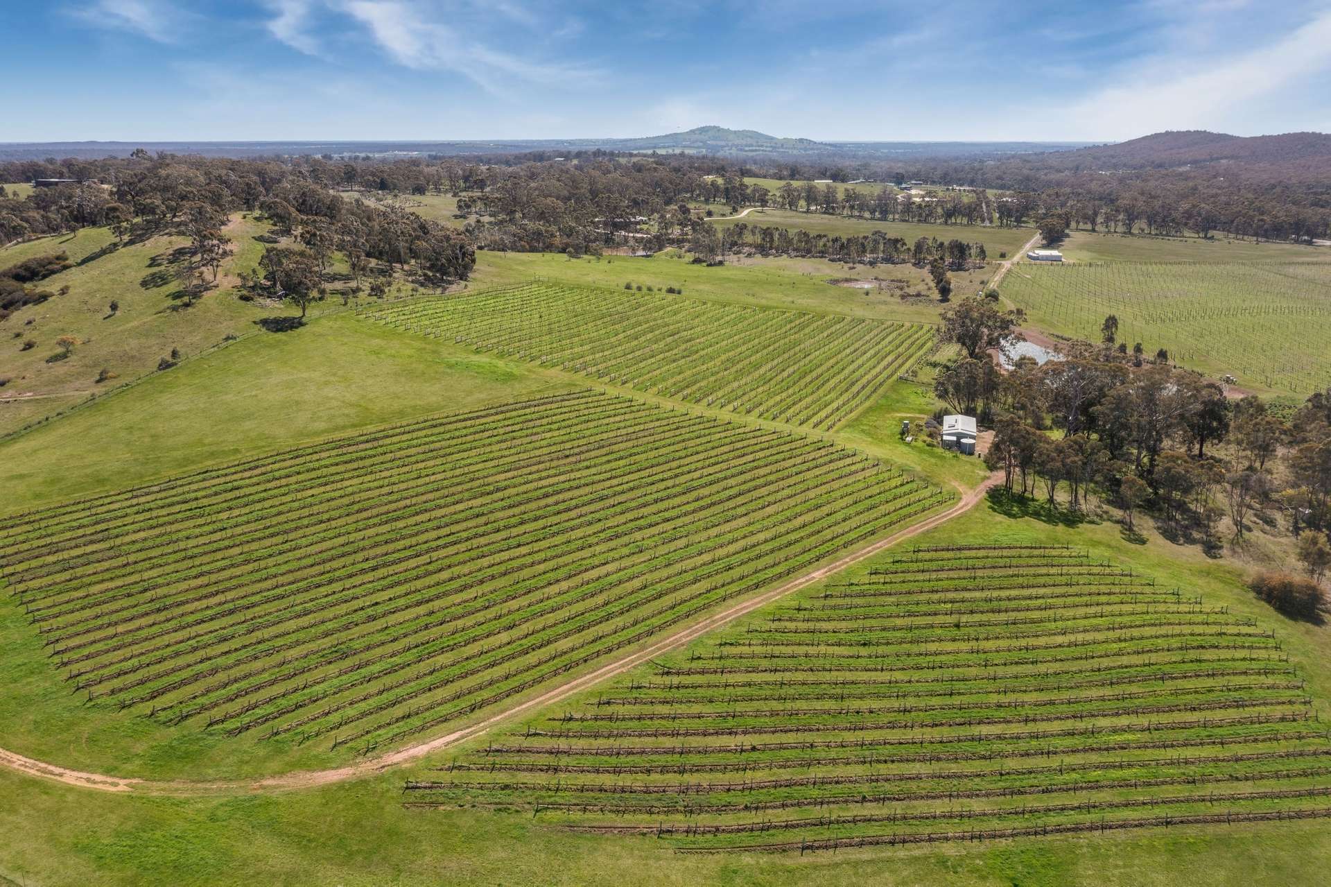 Lot 1, 77 Shurans Lane, Heathcote Sold by Farmbuy.com - image 6