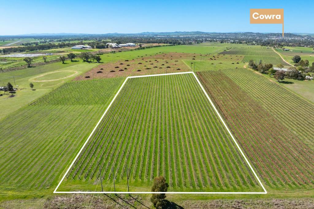 106 Anderson Lane, Cowra NSW 2794