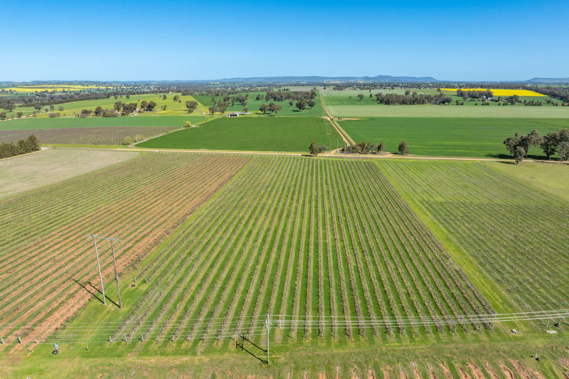 106 Anderson Lane, Cowra For Sale by Farmbuy.com - image 5