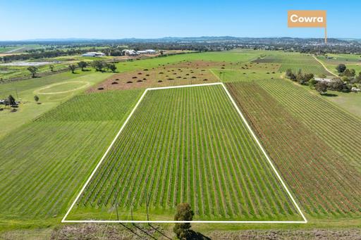 106 Anderson Lane, Cowra NSW 2794