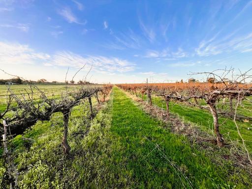 Farm For Sale - NSW - Cowra - 2794 - BUILD YOUR DREAM HERE ON 5ACRES*! 