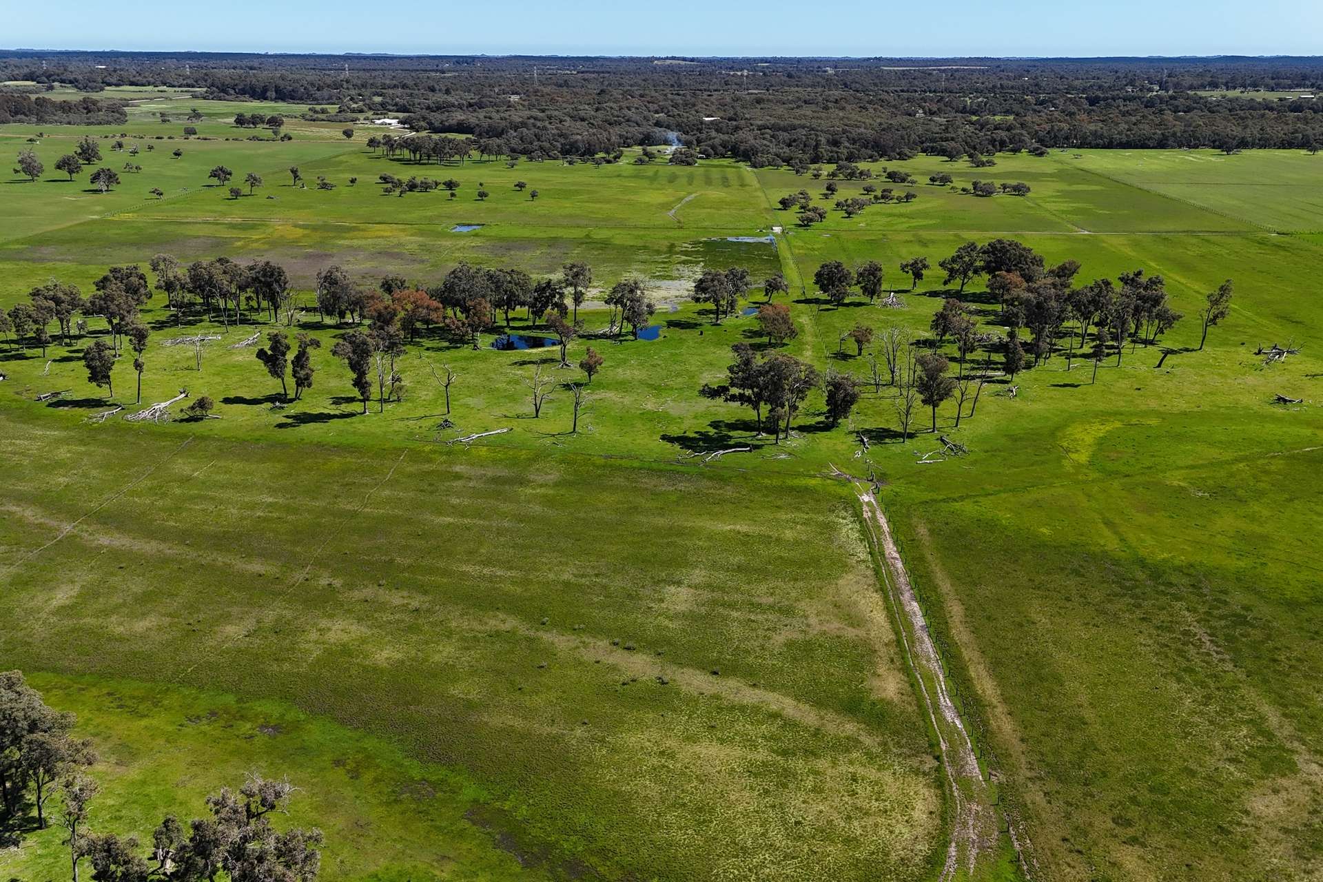39 Gibbs Road, Uduc For Sale by Farmbuy.com - image 7