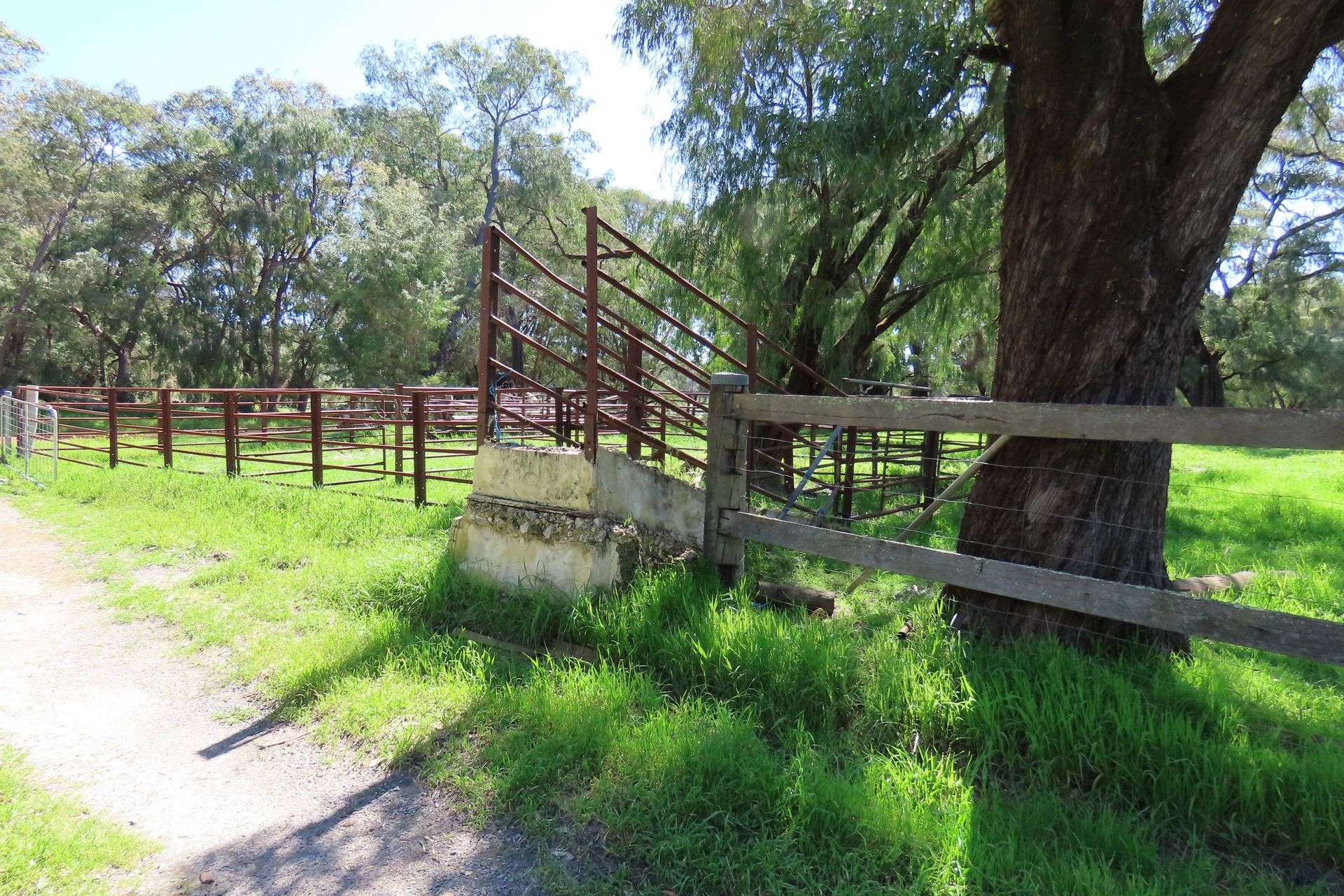 39 Gibbs Road, Uduc For Sale by Farmbuy.com - image 14