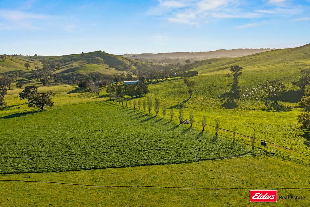 Boorowa NSW 2586