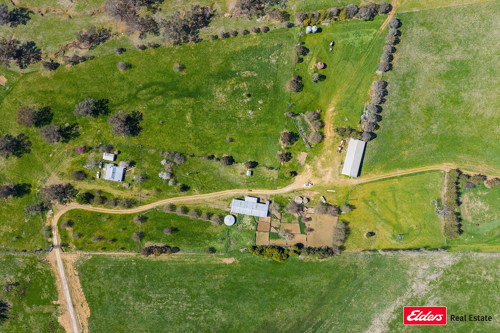 Boorowa Auction by Farmbuy.com - image 22
