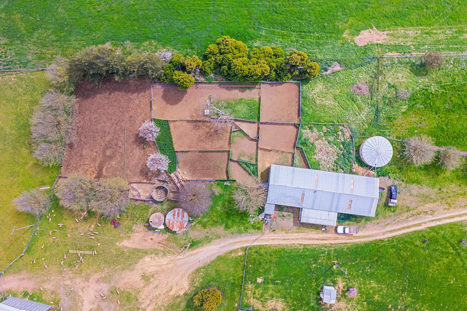 Boorowa Auction by Farmbuy.com - image 12