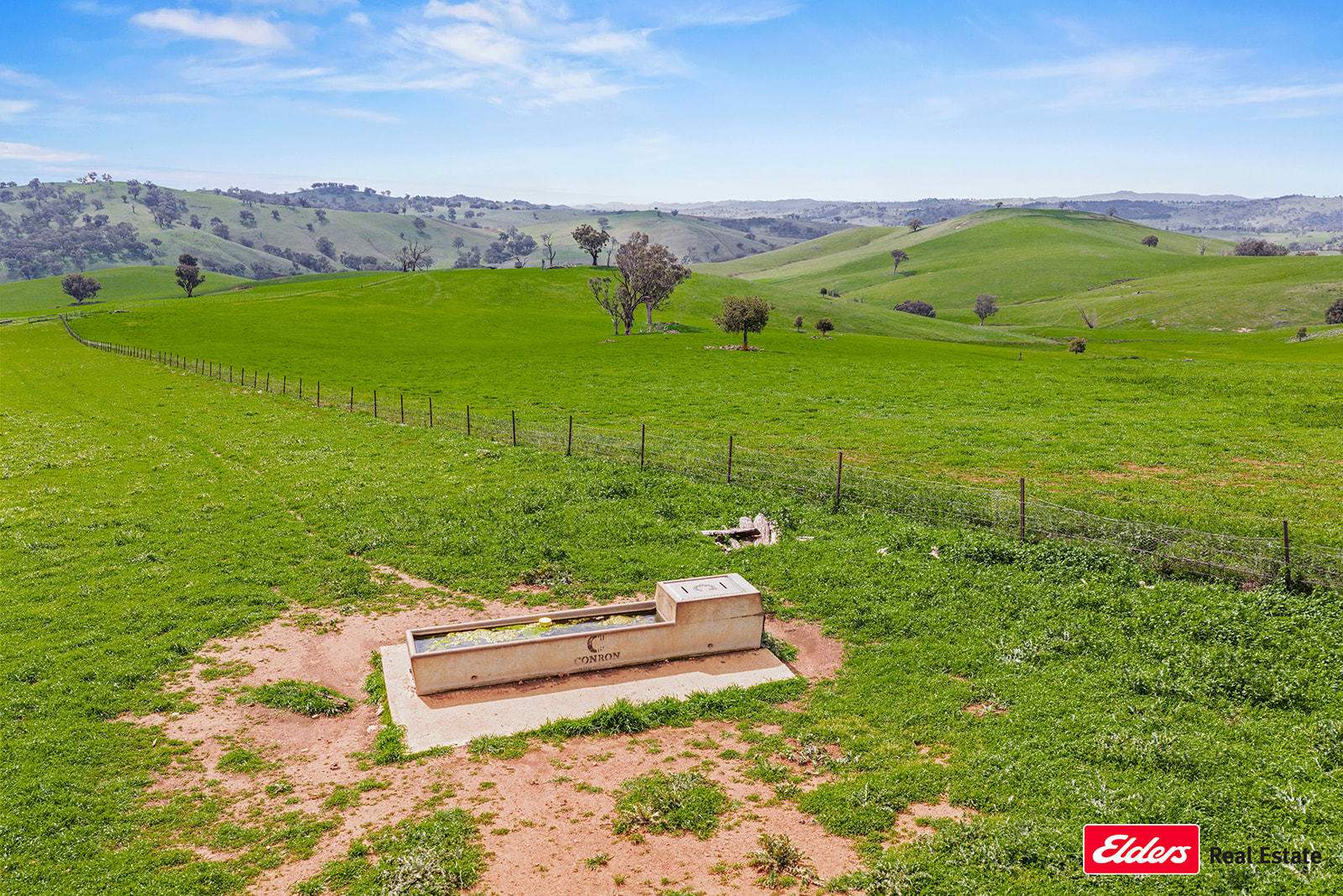 Boorowa Auction by Farmbuy.com - image 6