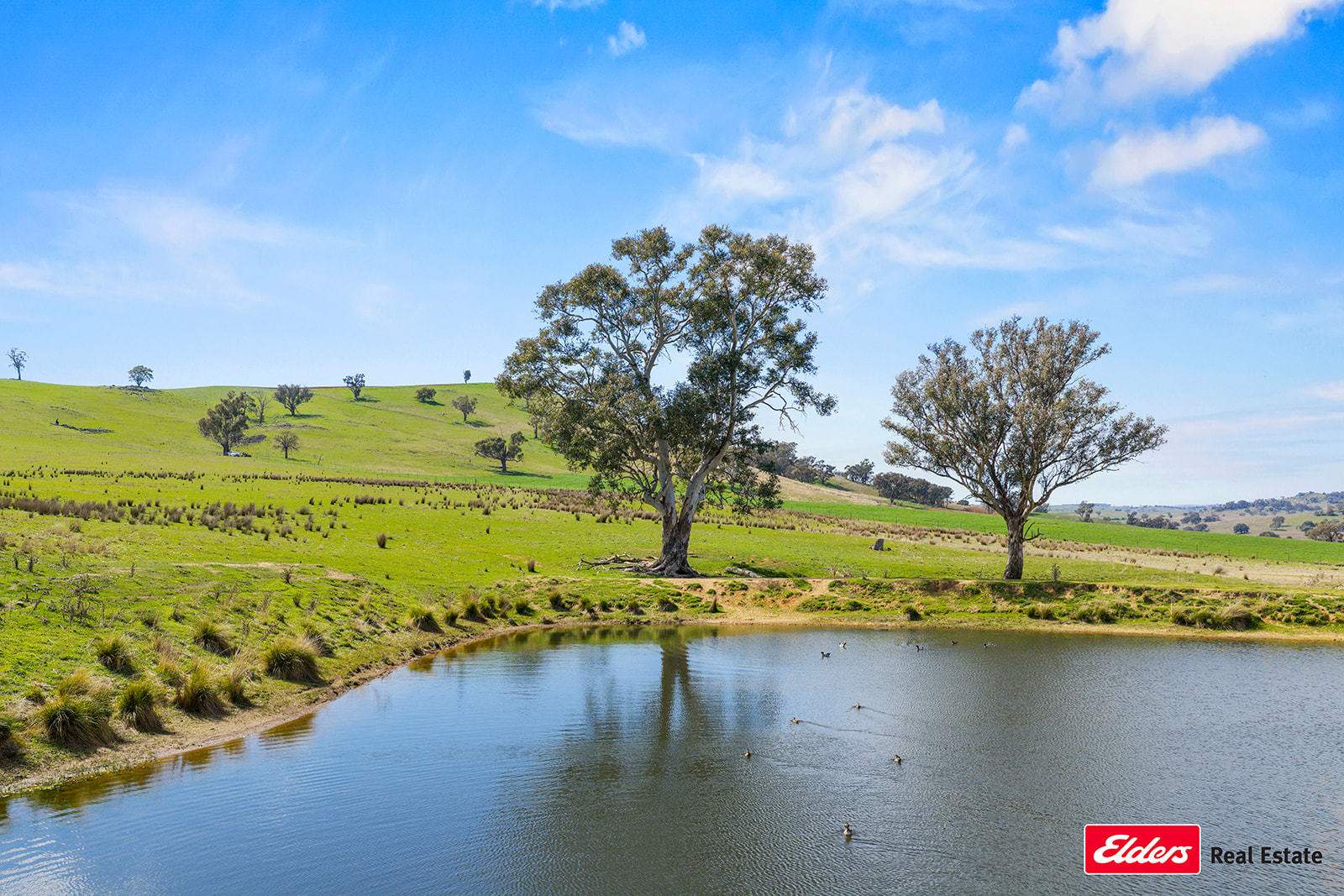Boorowa Auction by Farmbuy.com - image 17