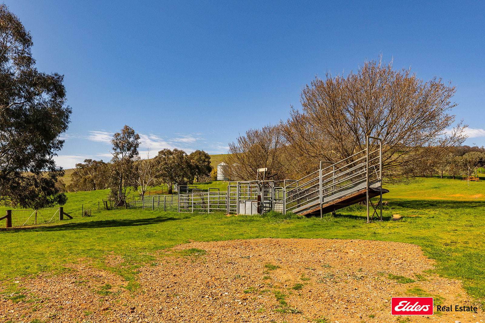 Boorowa Auction by Farmbuy.com - image 15