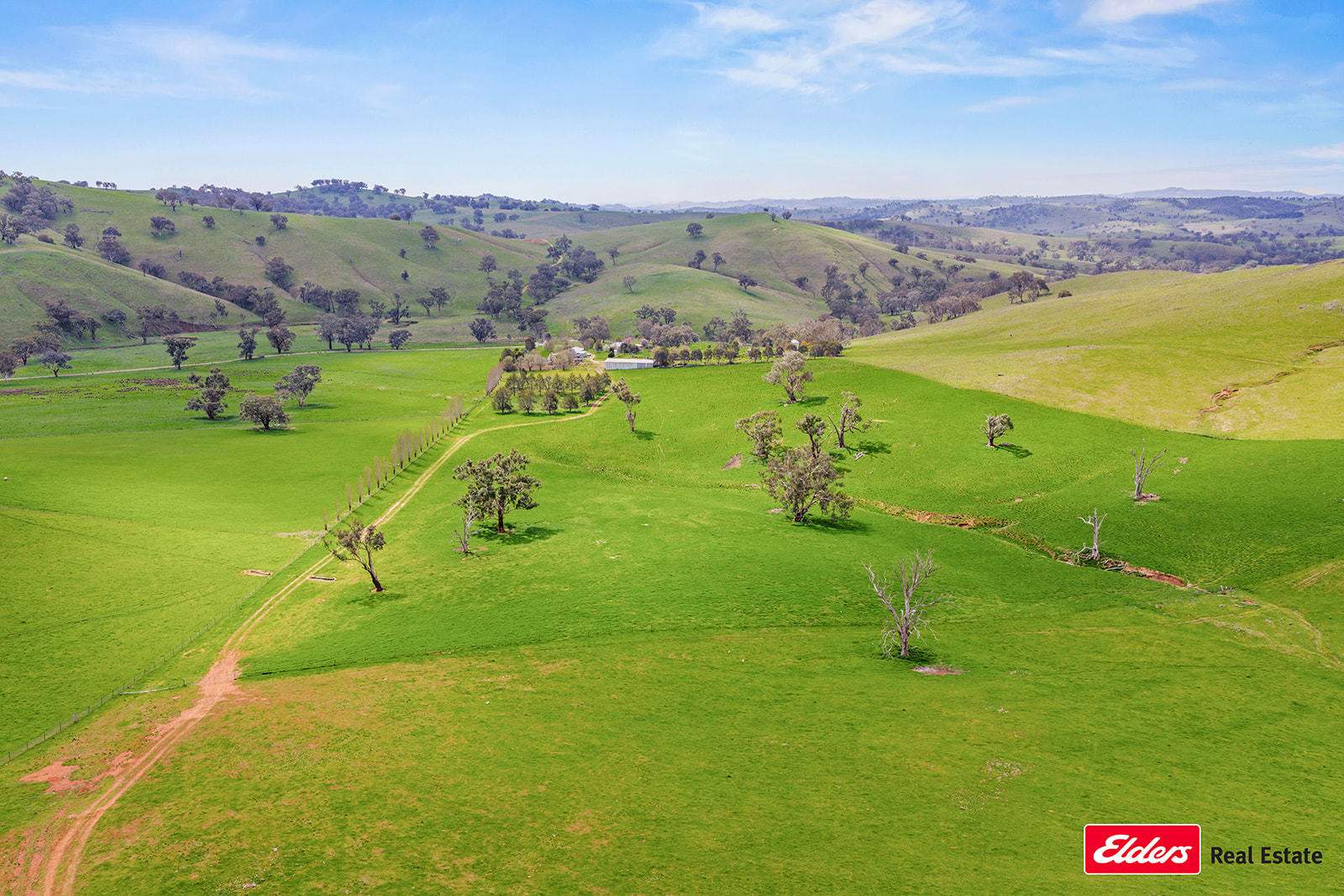 Boorowa Auction by Farmbuy.com - image 20