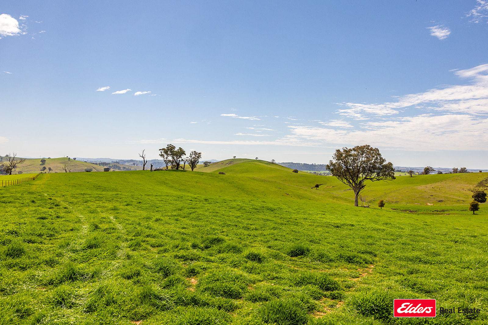 Boorowa Auction by Farmbuy.com - image 9