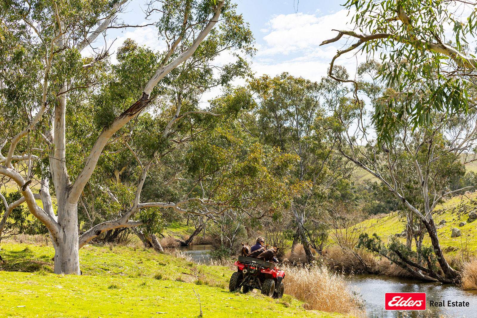 Boorowa Auction by Farmbuy.com - image 35