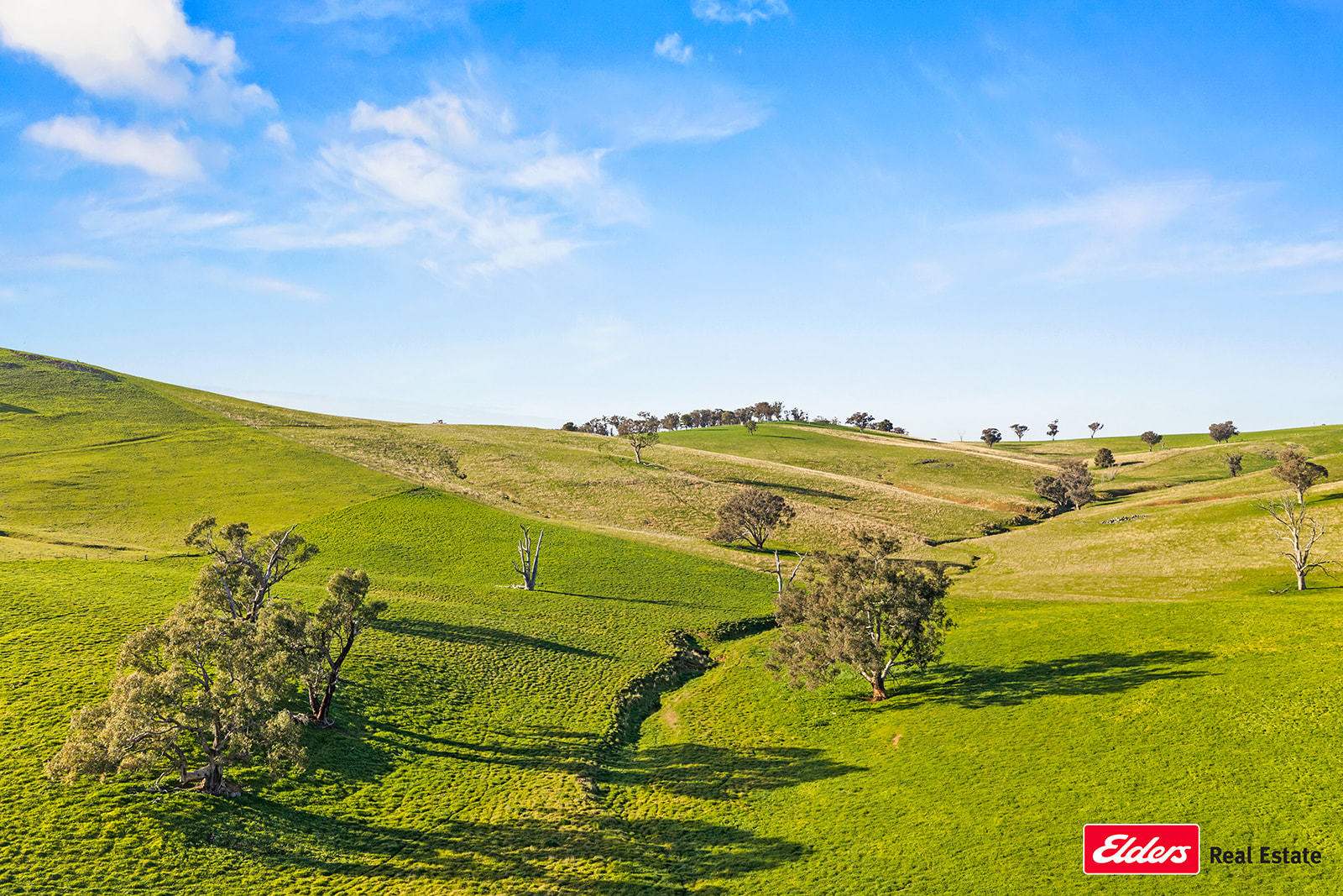 Boorowa Auction by Farmbuy.com - image 16