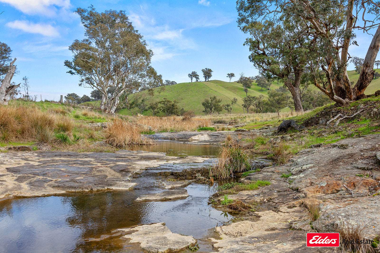 Boorowa Auction by Farmbuy.com - image 34