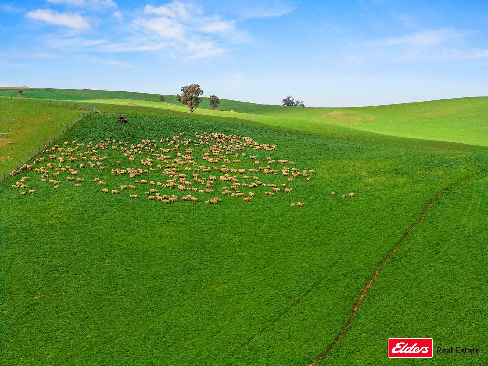 Boorowa Auction by Farmbuy.com - image 4