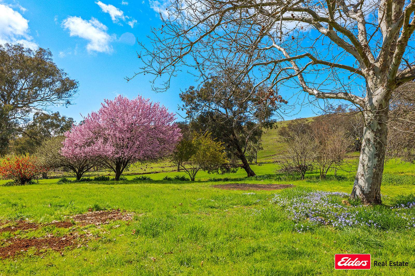 Boorowa Auction by Farmbuy.com - image 33