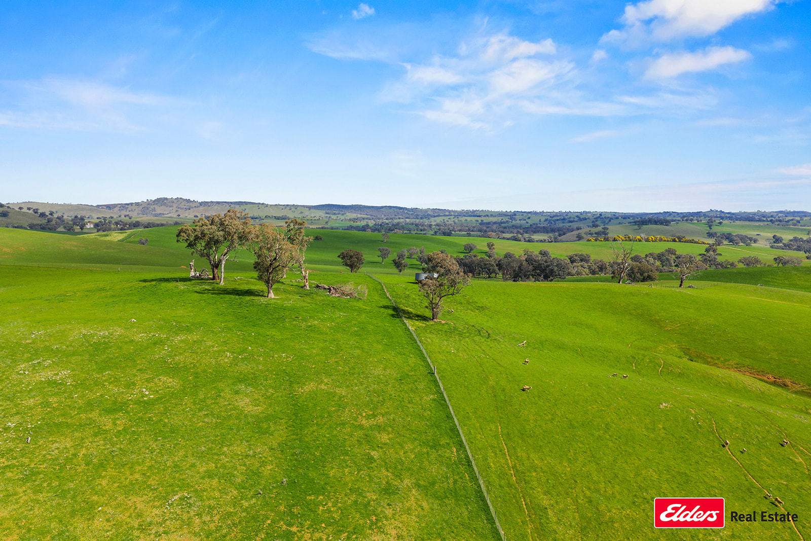 Boorowa Auction by Farmbuy.com - image 10